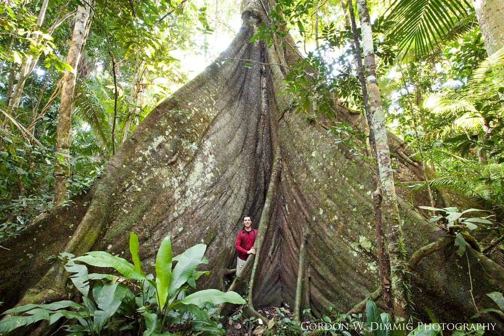Visit Peru Amazon Rainforest Tour Wildlife Cabin Platform
