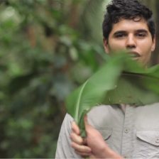 Leafcutter Ants (ARCtv S01 Ep 08)